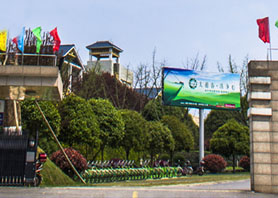 捷報頻傳：湘豐茶業(yè)集團榮獲標桿龍頭企業(yè)、長沙市現(xiàn)代農(nóng)業(yè)高科技產(chǎn)業(yè)化基地稱號