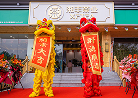 湘豐茶業星沙旗艦店盛大開業! 湘豐茶業星沙旗艦店盛大開業!