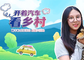 開著汽車看鄉村 |湘豐村：虎躍茶山 展振興活力