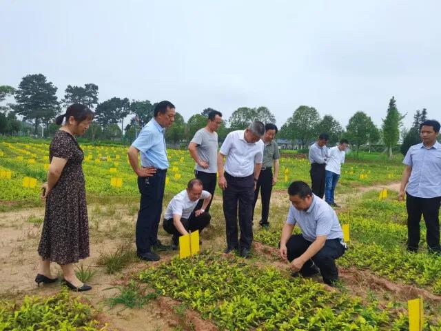 科技特派員在基地進行技術指導.jpg 科技特派員在基地進行技術指導.jpg