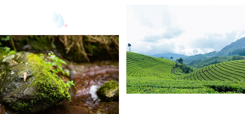 武夷山環境.png 武夷山環境.png