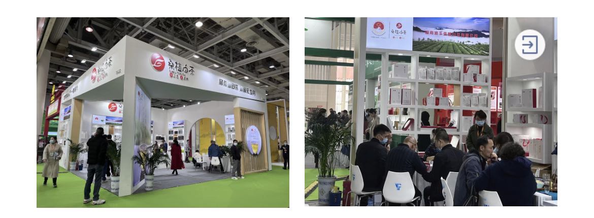 桑植白茶展區(qū)、湘豐桑植白茶展位.jpg 桑植白茶展區(qū)、湘豐桑植白茶展位.jpg