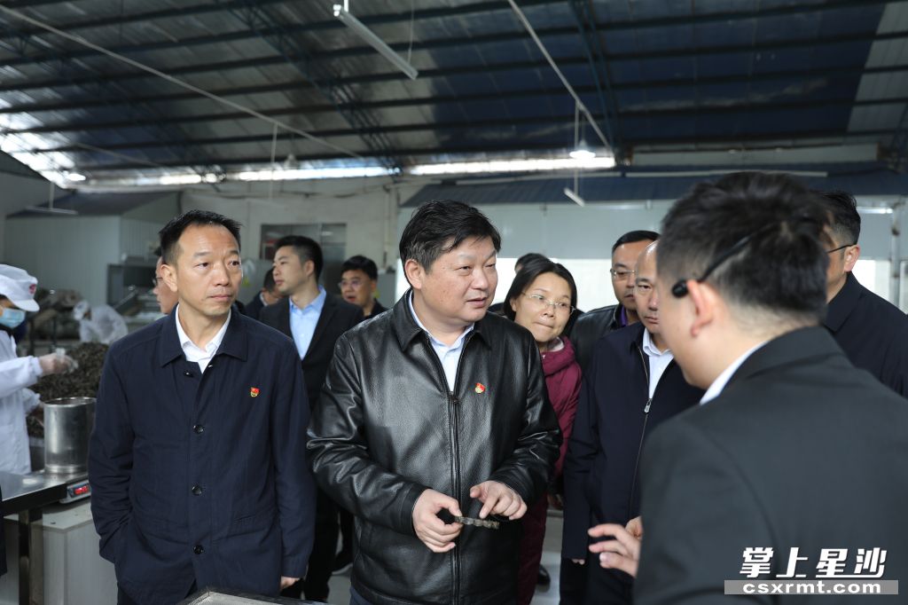 付旭明在湘豐桑植白茶洪家關(guān)工廠調(diào)研產(chǎn)業(yè)發(fā)展情況。.jpg 付旭明在湘豐桑植白茶洪家關(guān)工廠調(diào)研產(chǎn)業(yè)發(fā)展情況。.jpg
