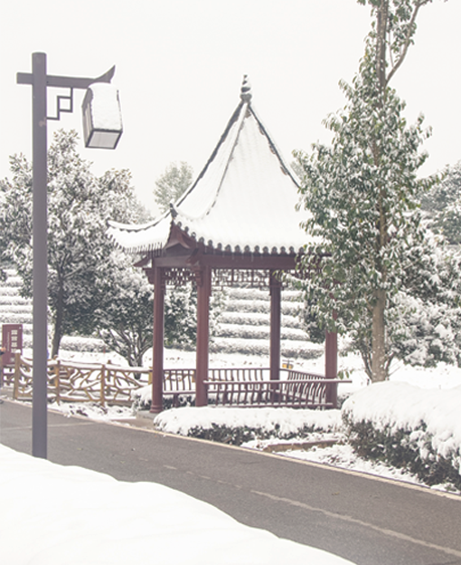 IMG_1112.jpg.png IMG_1112.jpg.png