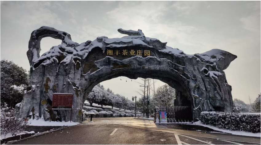 湘豐茶業莊園.png 湘豐茶業莊園.png