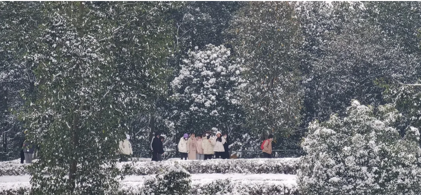 觀賞雪景.png 觀賞雪景.png