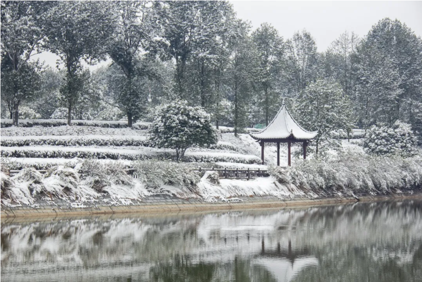 茶園山水.png 茶園山水.png