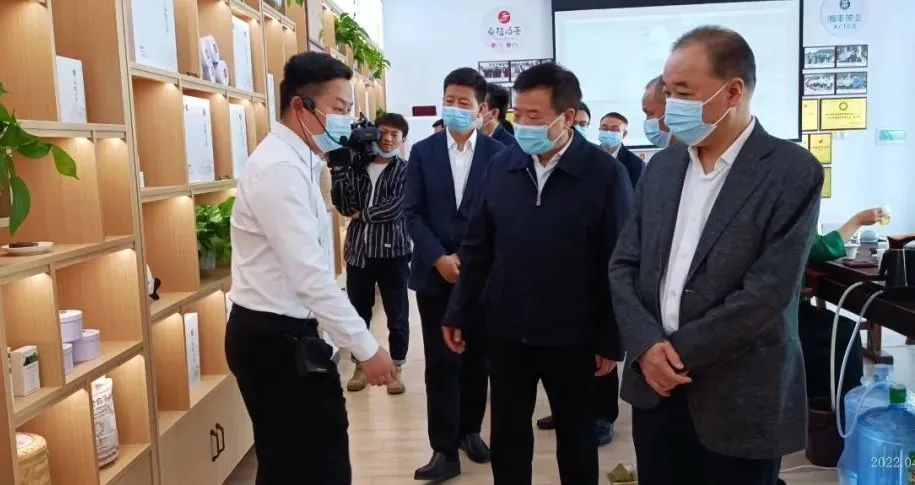 湖南省副省長陳飛帶隊考察調研湘豐桑植白茶公司 湖南省副省長陳飛帶隊考察調研湘豐桑植白茶公司
