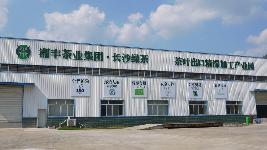 湘豐茶業(yè)集團獲“國貿基地”和“中國出口商品品牌”雙認證