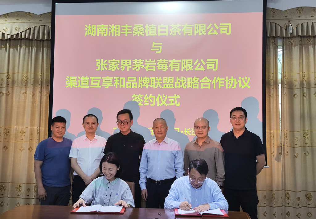 “白茶”“莓茶”牽手，品牌強強聯(lián)盟！