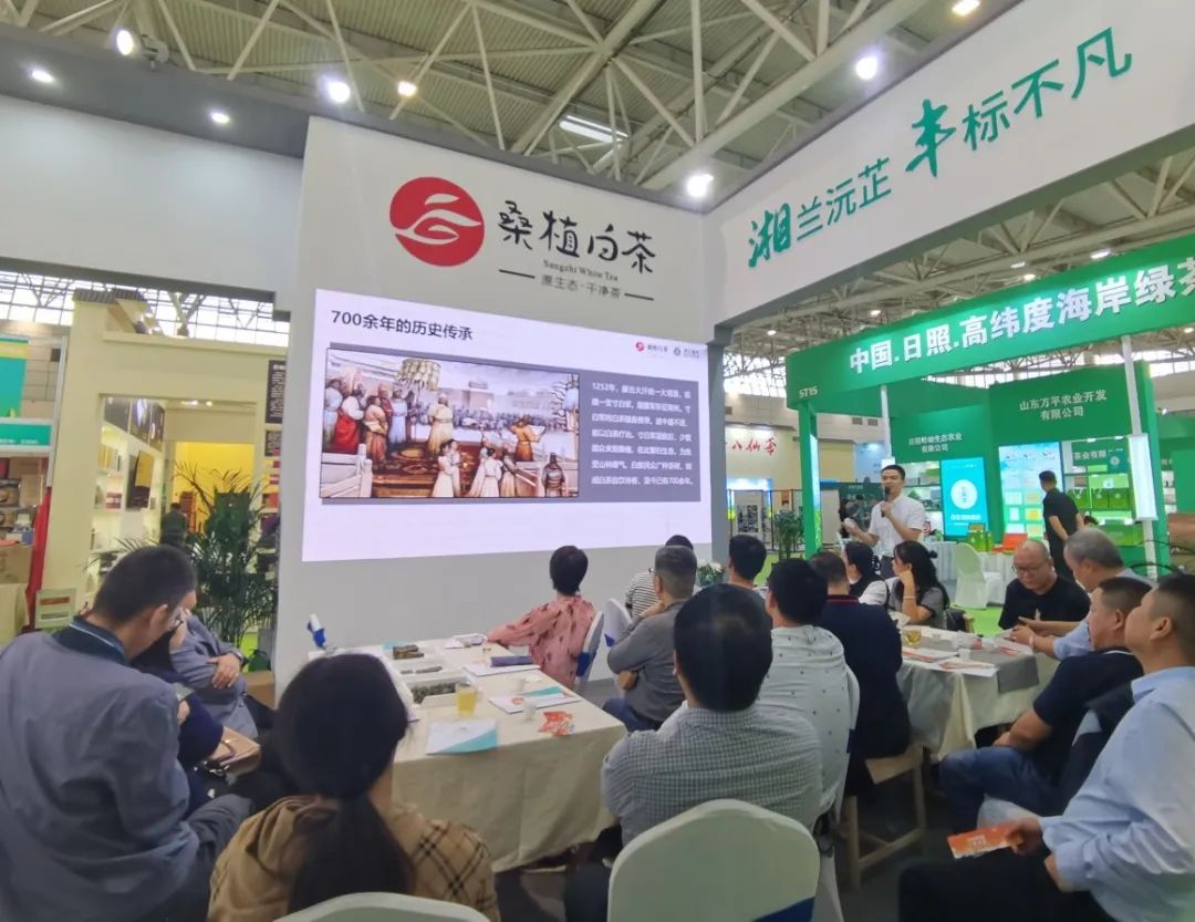斬獲雙項(xiàng)金獎！湘豐桑植白茶閃耀第十屆中國茶葉博覽會