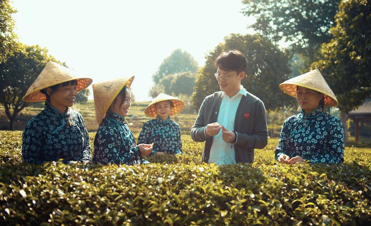 春茶飄香，一起去千年茶鄉品茗