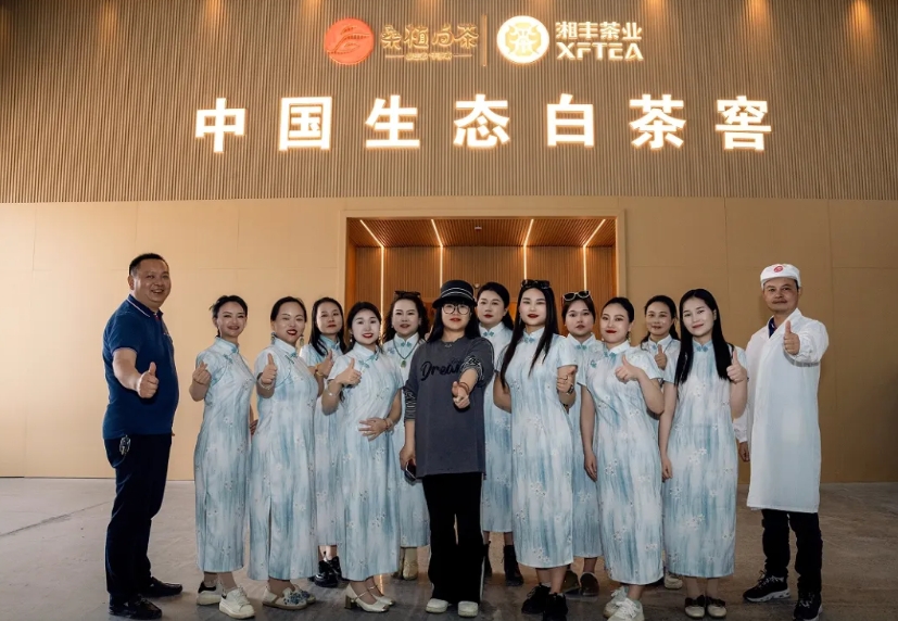 助力品牌騰飛 | 湘豐桑植白茶品宣與營(yíng)銷(xiāo)培訓(xùn)活動(dòng)如期舉行