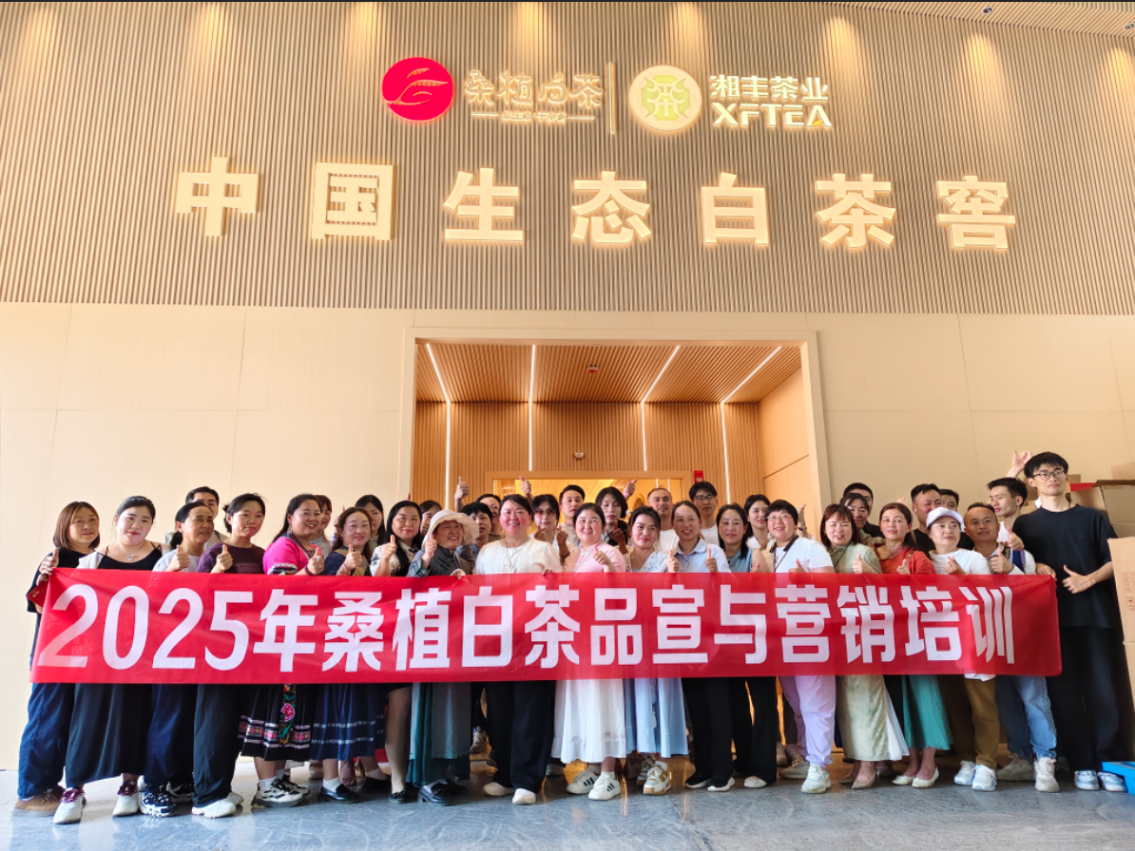 茶香賦能，紅色傳承丨湘豐桑植白茶品宣與營(yíng)銷(xiāo)培訓(xùn)（第三期）