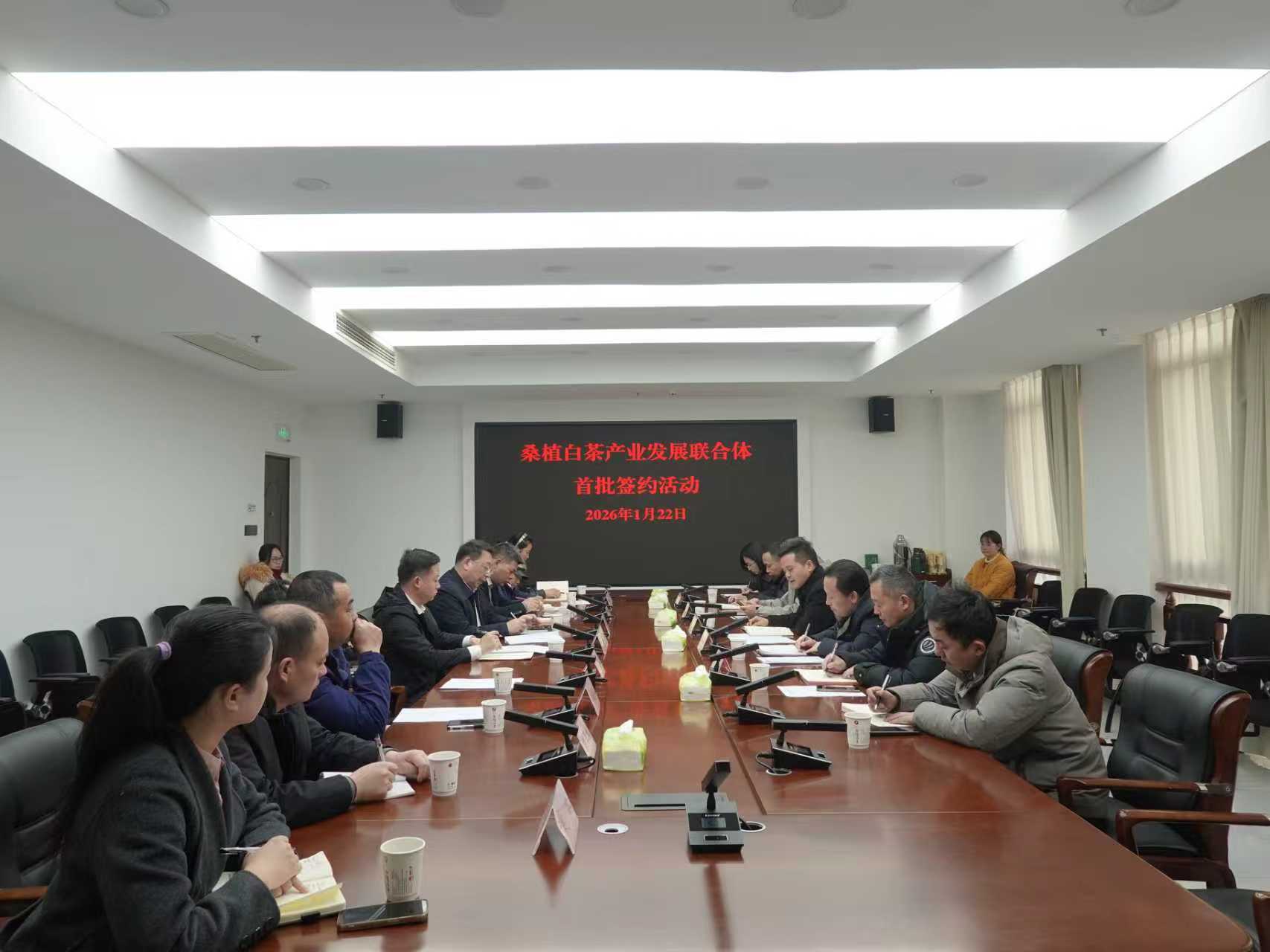 湘豐桑植白茶公司牽頭組建桑植白茶產業發展聯合體 首批簽約開啟協同共贏新征程 湘豐桑植白茶公司牽頭組建桑植白茶產業發展聯合體 首批簽約開啟協同共贏新征程